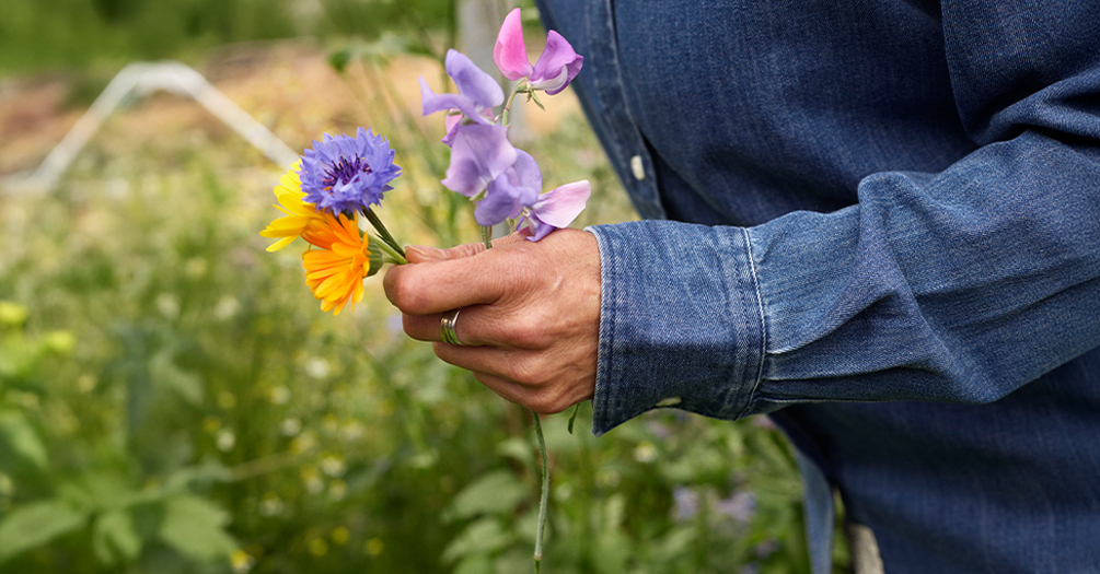 Groene Lentedagen: laat de natuur bloeien met duurzame relatiegeschenken