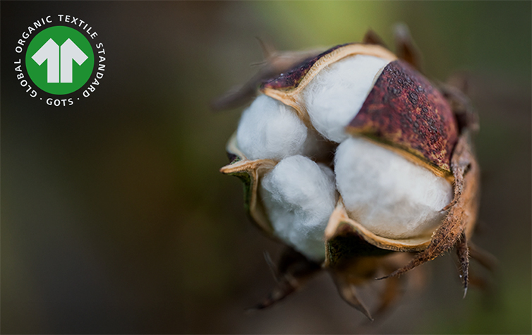 Duurzaam textiel - Global Organic Textile Standard (GOTS)
