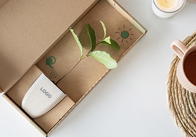 Groei & bloei cadeaus