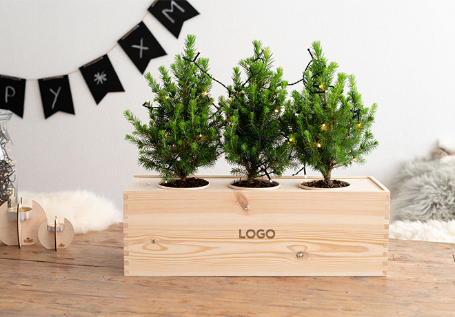Kerstboompjes Bloomsbox
